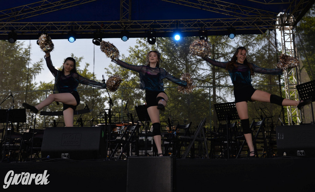 Święto Miasteczka Śląskiego. Korowód, Elvis i...