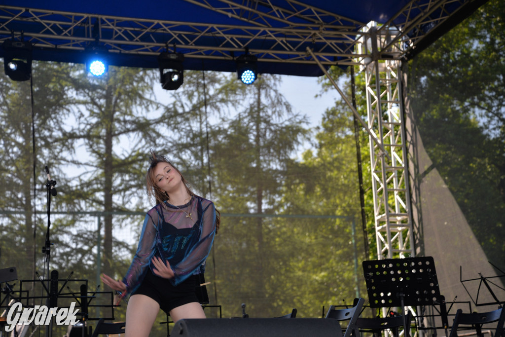 Święto Miasteczka Śląskiego. Korowód, Elvis i...