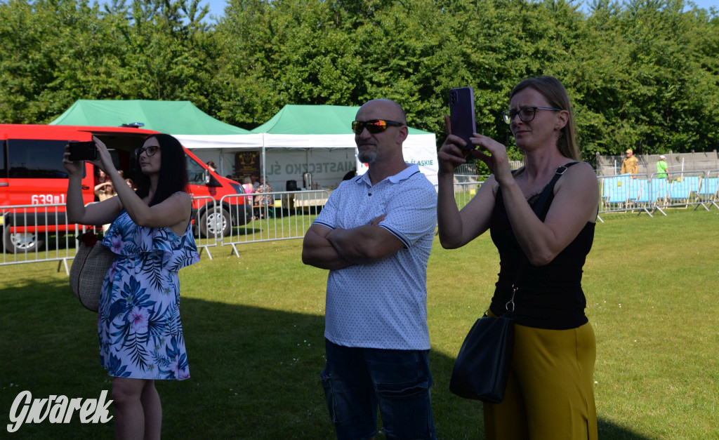 Święto Miasteczka Śląskiego. Korowód, Elvis i...