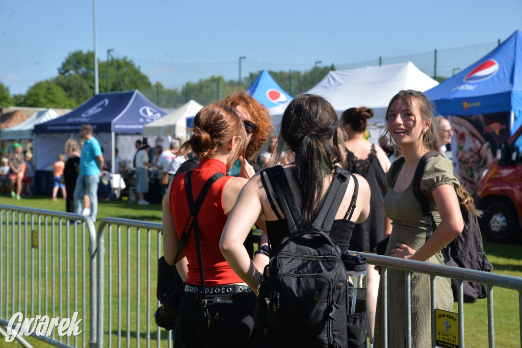 Święto Miasteczka Śląskiego. Korowód, Elvis i...