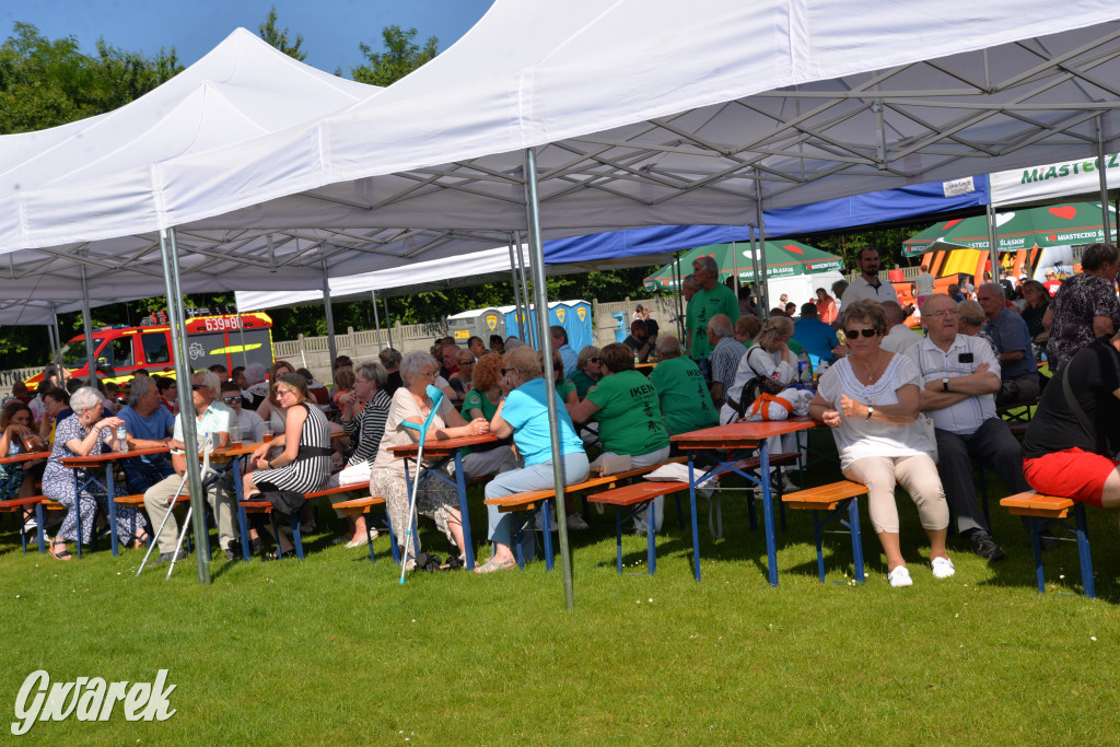Święto Miasteczka Śląskiego. Korowód, Elvis i...