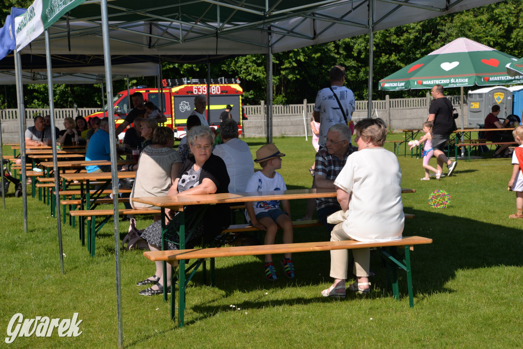 Święto Miasteczka Śląskiego. Korowód, Elvis i...