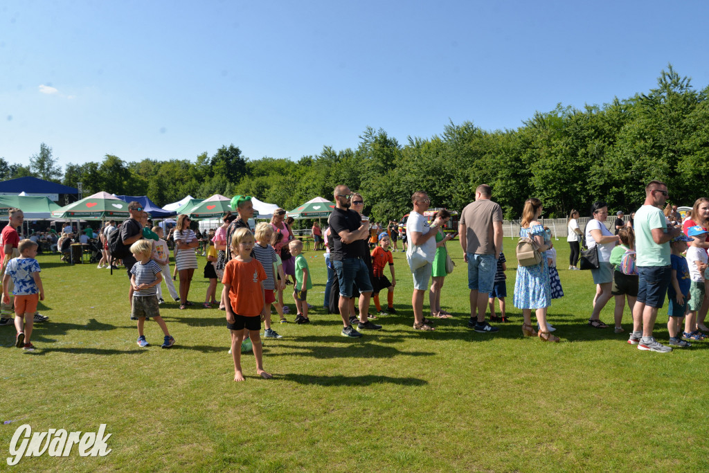 Święto Miasteczka Śląskiego. Korowód, Elvis i...