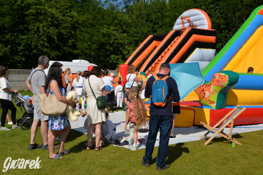 Święto Miasteczka Śląskiego. Korowód, Elvis i...