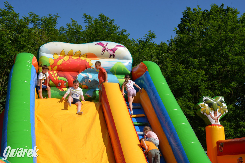 Święto Miasteczka Śląskiego. Korowód, Elvis i...