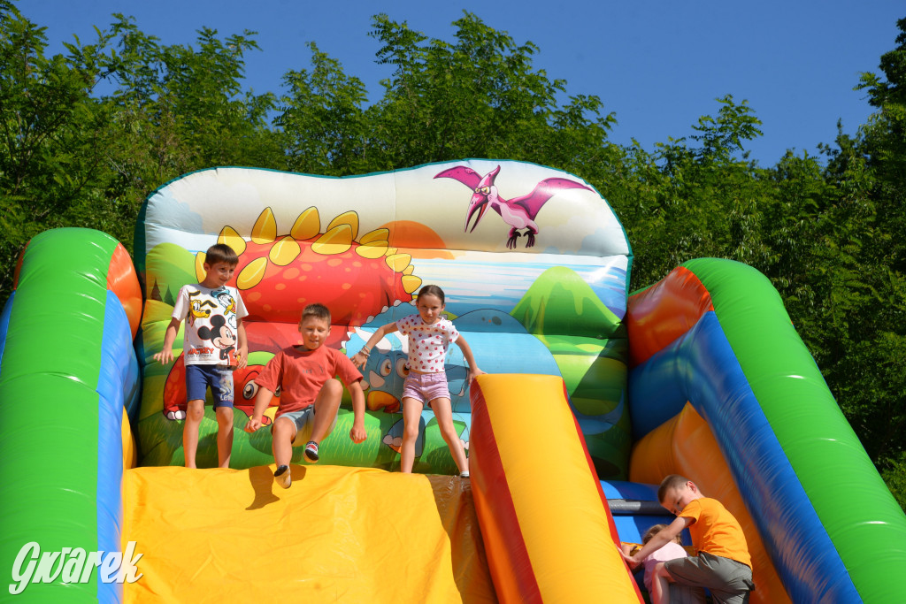 Święto Miasteczka Śląskiego. Korowód, Elvis i...