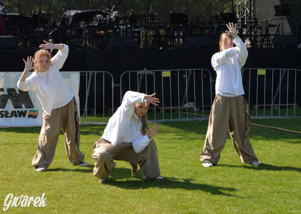 Święto Miasteczka Śląskiego. Korowód, Elvis i...