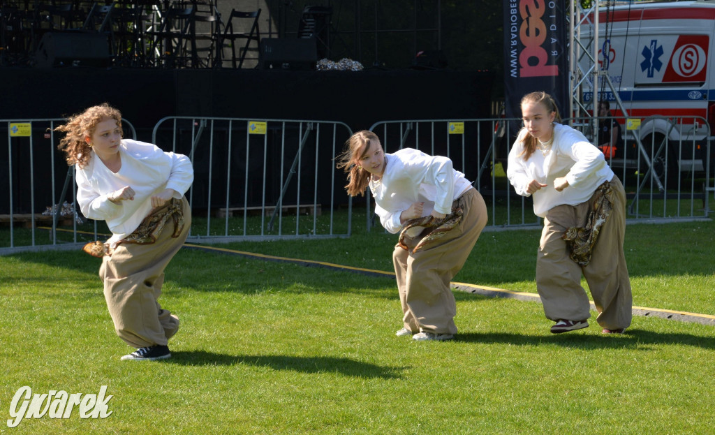 Święto Miasteczka Śląskiego. Korowód, Elvis i...