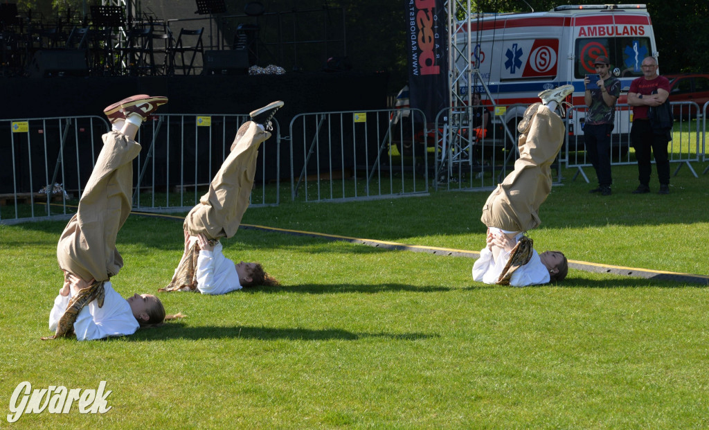Święto Miasteczka Śląskiego. Korowód, Elvis i...