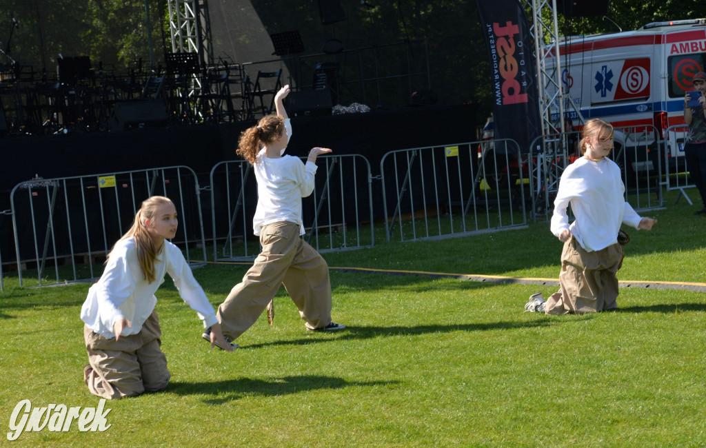 Święto Miasteczka Śląskiego. Korowód, Elvis i...