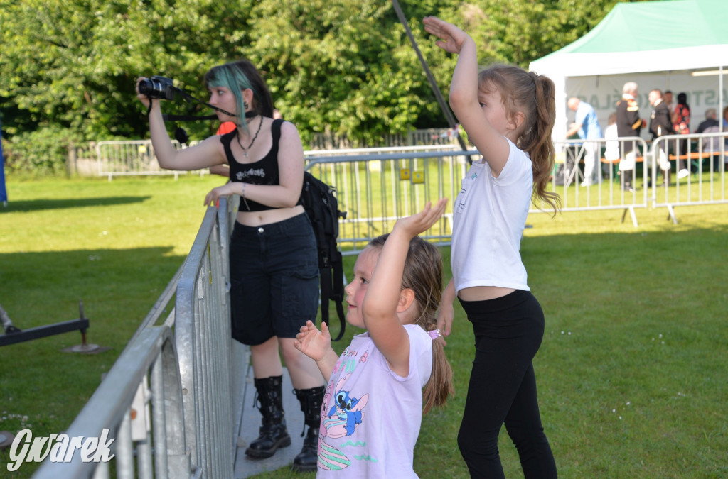 Święto Miasteczka Śląskiego. Korowód, Elvis i...