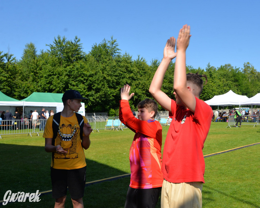 Święto Miasteczka Śląskiego. Korowód, Elvis i...