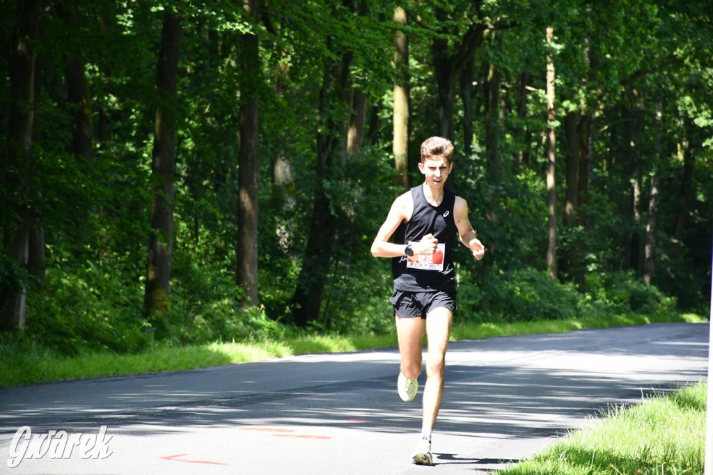 Bieg po Truskawkę - sport, las i owoce w jednym pakiecie