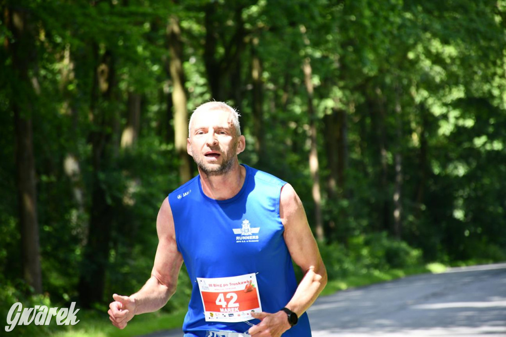 Bieg po Truskawkę - sport, las i owoce w jednym pakiecie