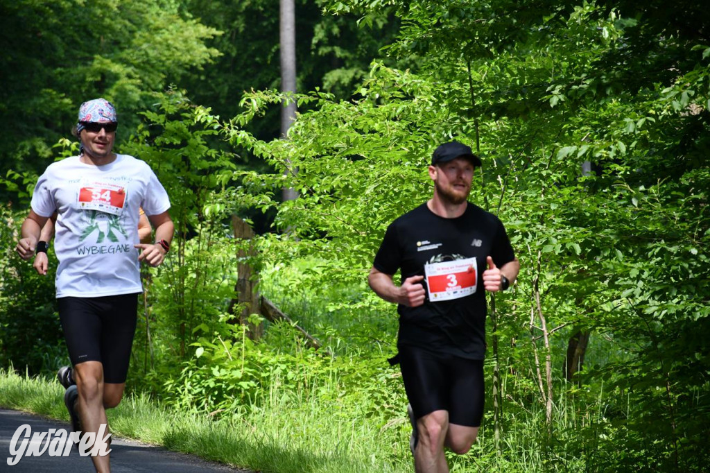 Bieg po Truskawkę - sport, las i owoce w jednym pakiecie