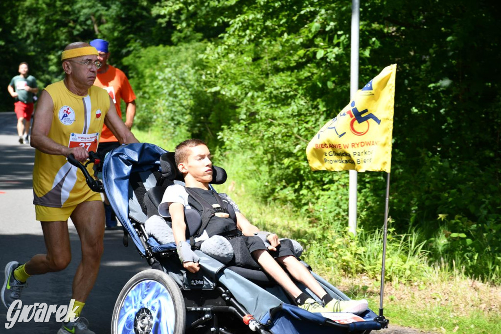 Bieg po Truskawkę - sport, las i owoce w jednym pakiecie