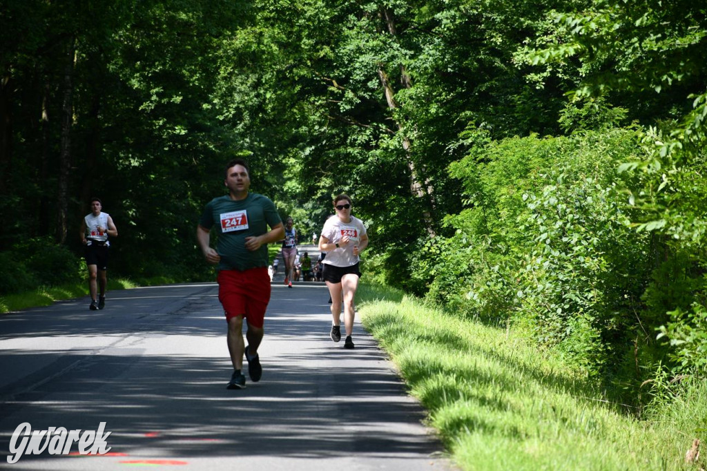 Bieg po Truskawkę - sport, las i owoce w jednym pakiecie