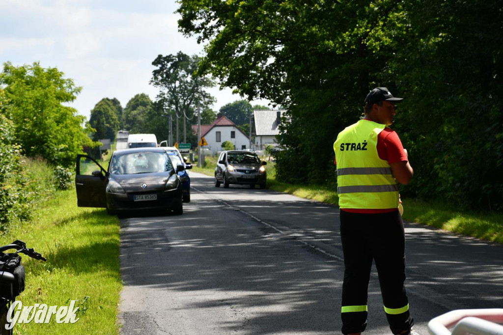 Bieg po Truskawkę - sport, las i owoce w jednym pakiecie