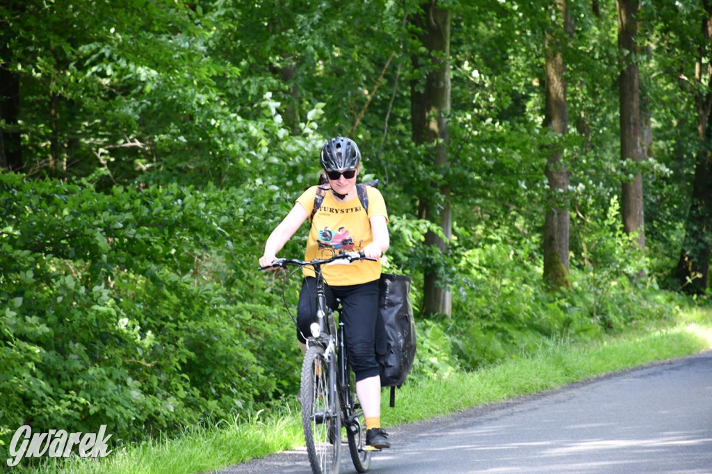 Bieg po Truskawkę - sport, las i owoce w jednym pakiecie