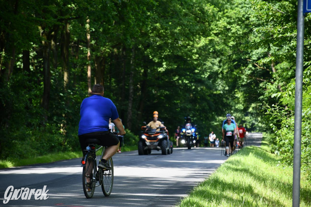 Bieg po Truskawkę - sport, las i owoce w jednym pakiecie