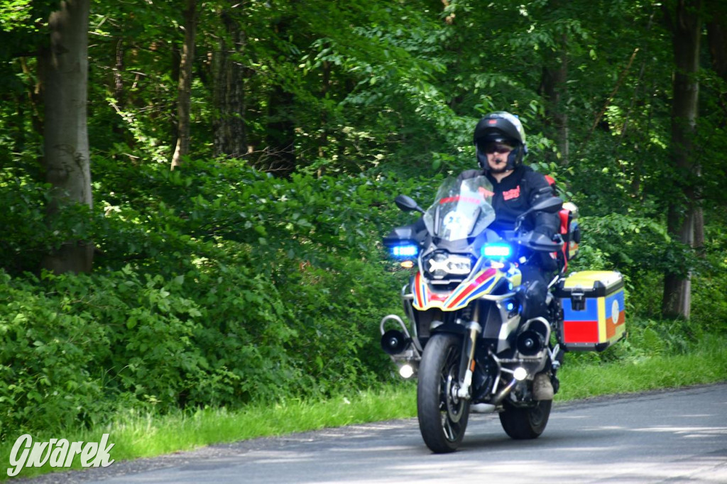 Bieg po Truskawkę - sport, las i owoce w jednym pakiecie