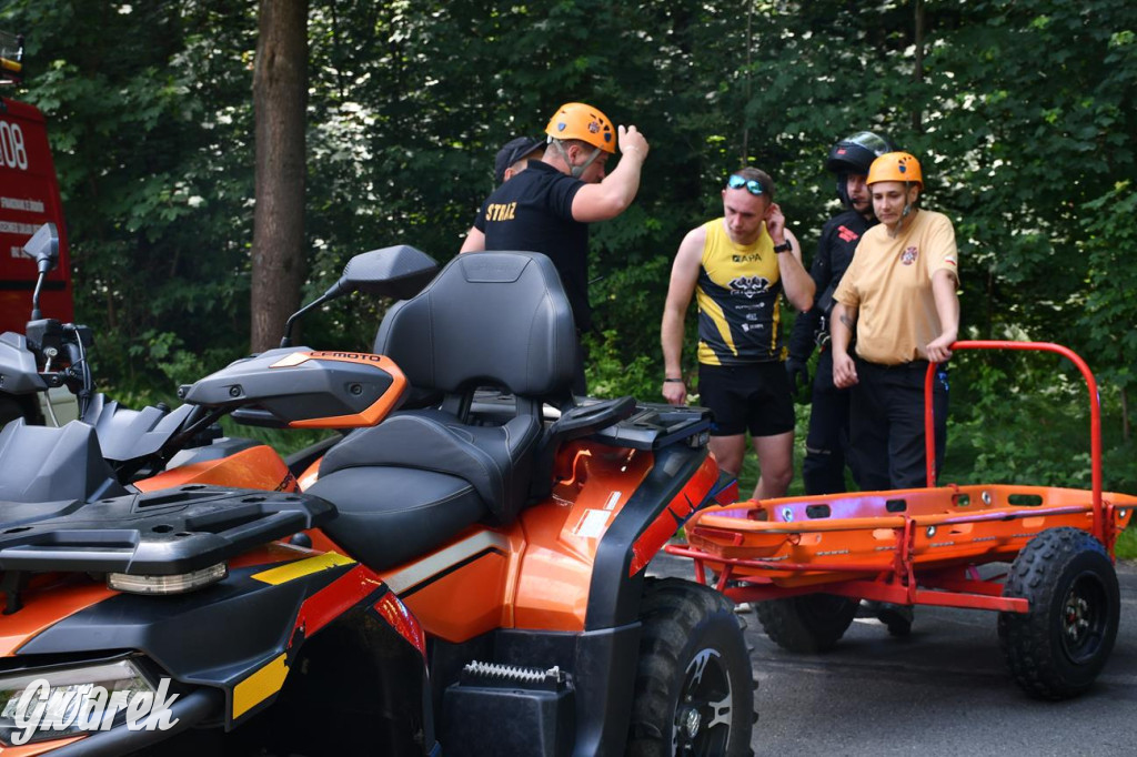 Bieg po Truskawkę - sport, las i owoce w jednym pakiecie