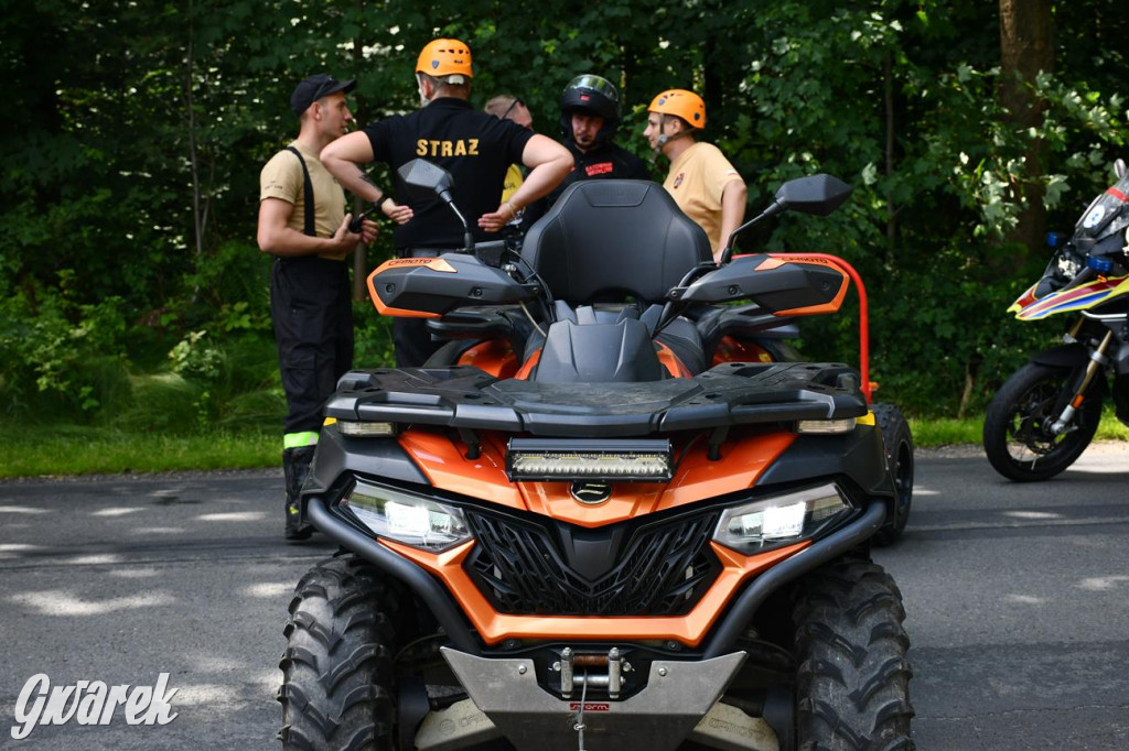 Bieg po Truskawkę - sport, las i owoce w jednym pakiecie