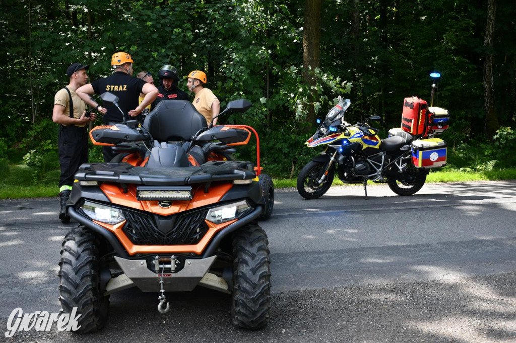 Bieg po Truskawkę - sport, las i owoce w jednym pakiecie