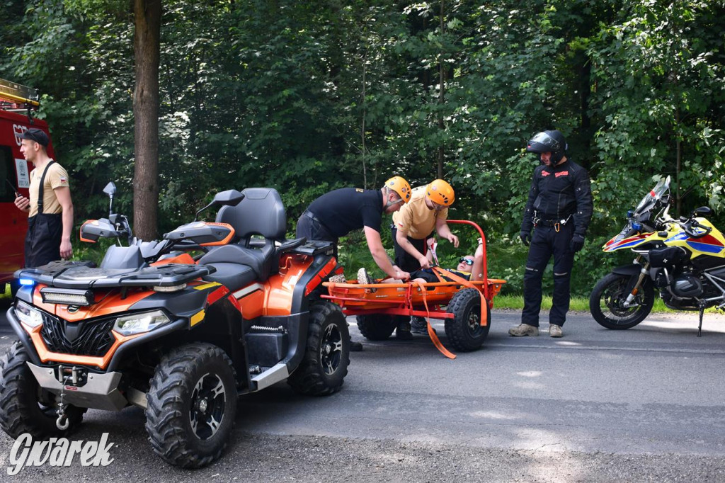 Bieg po Truskawkę - sport, las i owoce w jednym pakiecie