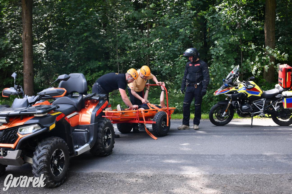 Bieg po Truskawkę - sport, las i owoce w jednym pakiecie