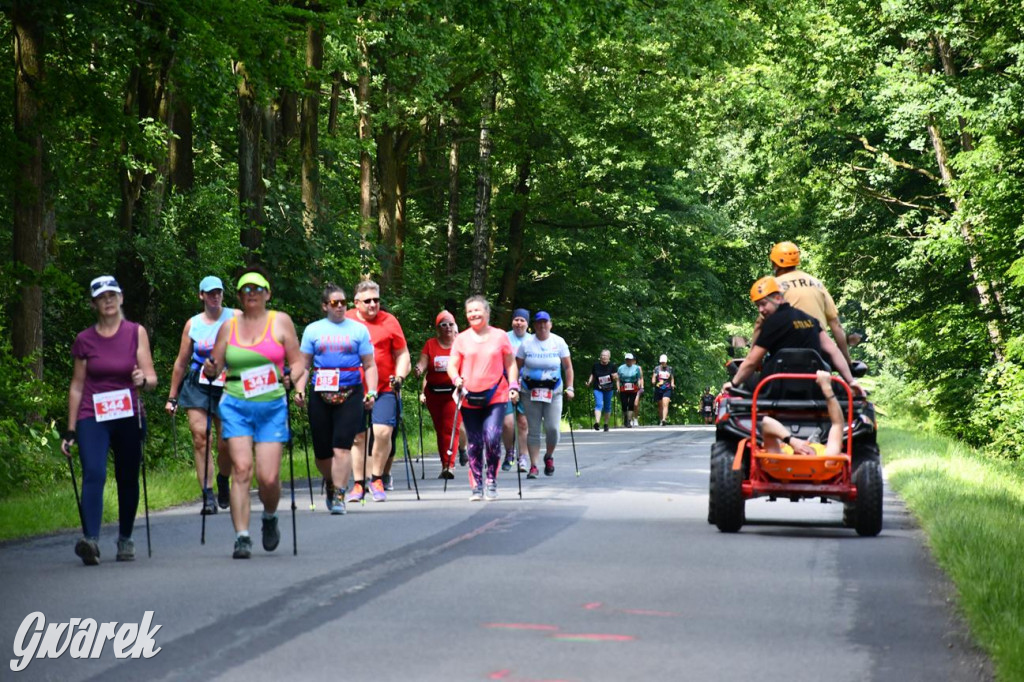 Bieg po Truskawkę - sport, las i owoce w jednym pakiecie