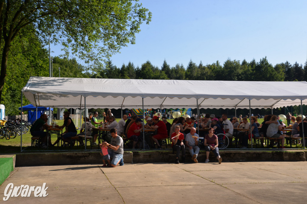 Setka Zgody Repty Śląskie