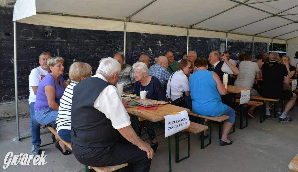 Setka Zgody Repty Śląskie