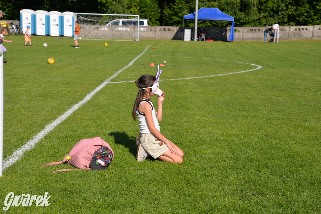Setka Zgody Repty Śląskie