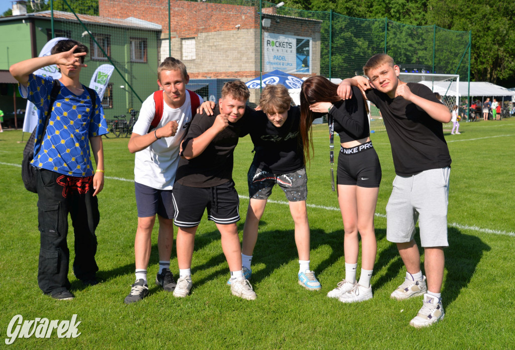 Setka Zgody Repty Śląskie