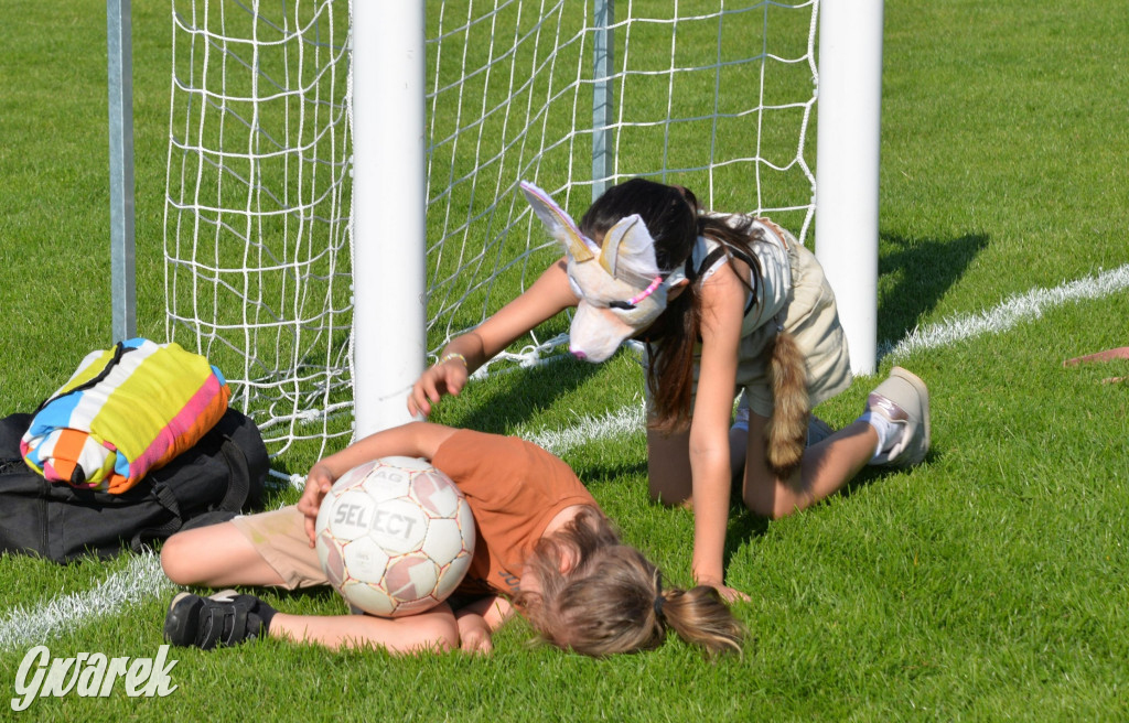 Setka Zgody Repty Śląskie