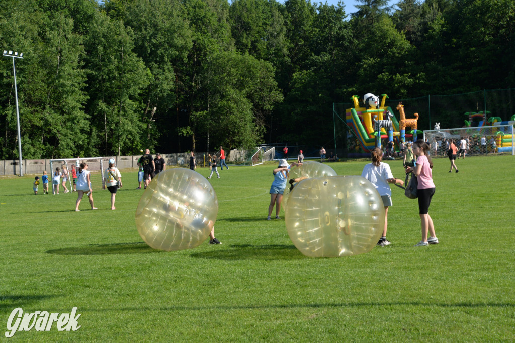 Setka Zgody Repty Śląskie