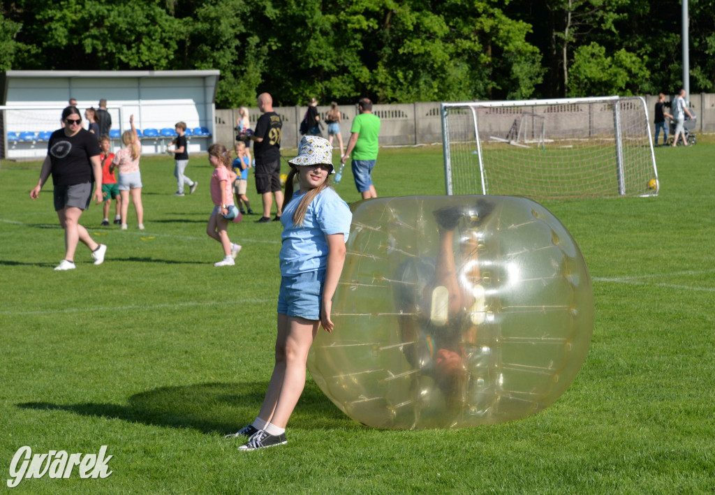 Setka Zgody Repty Śląskie