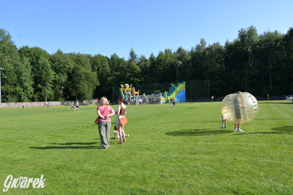 Setka Zgody Repty Śląskie