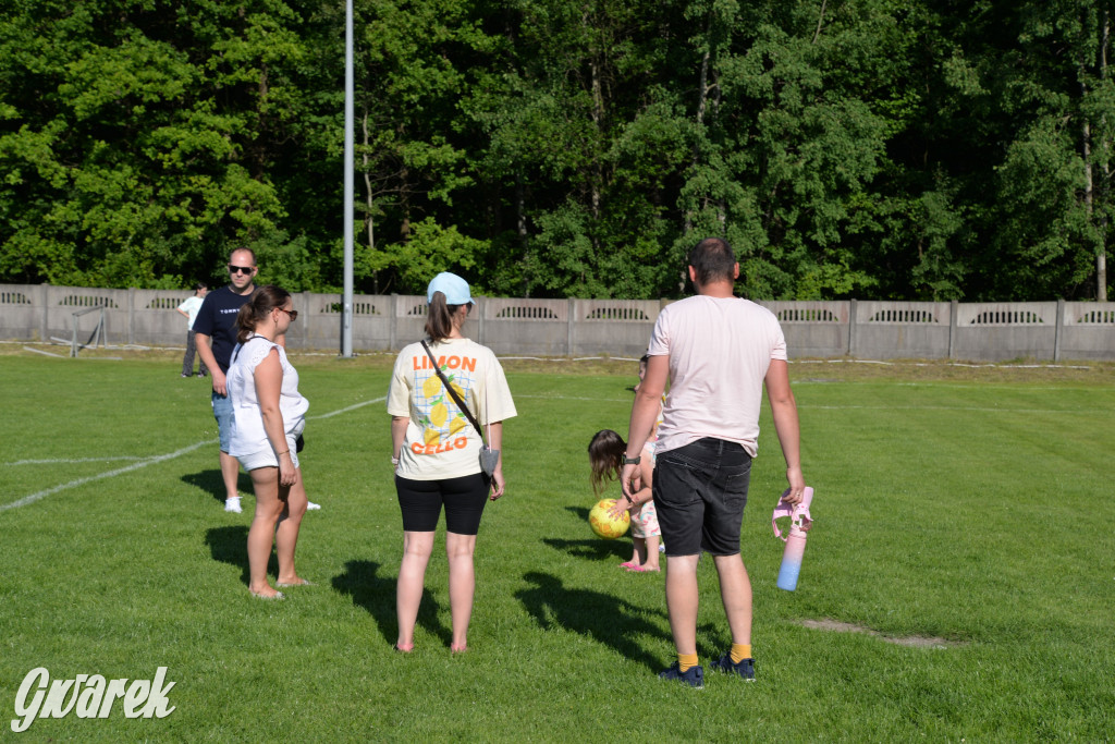 Setka Zgody Repty Śląskie