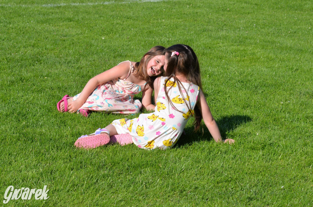 Setka Zgody Repty Śląskie