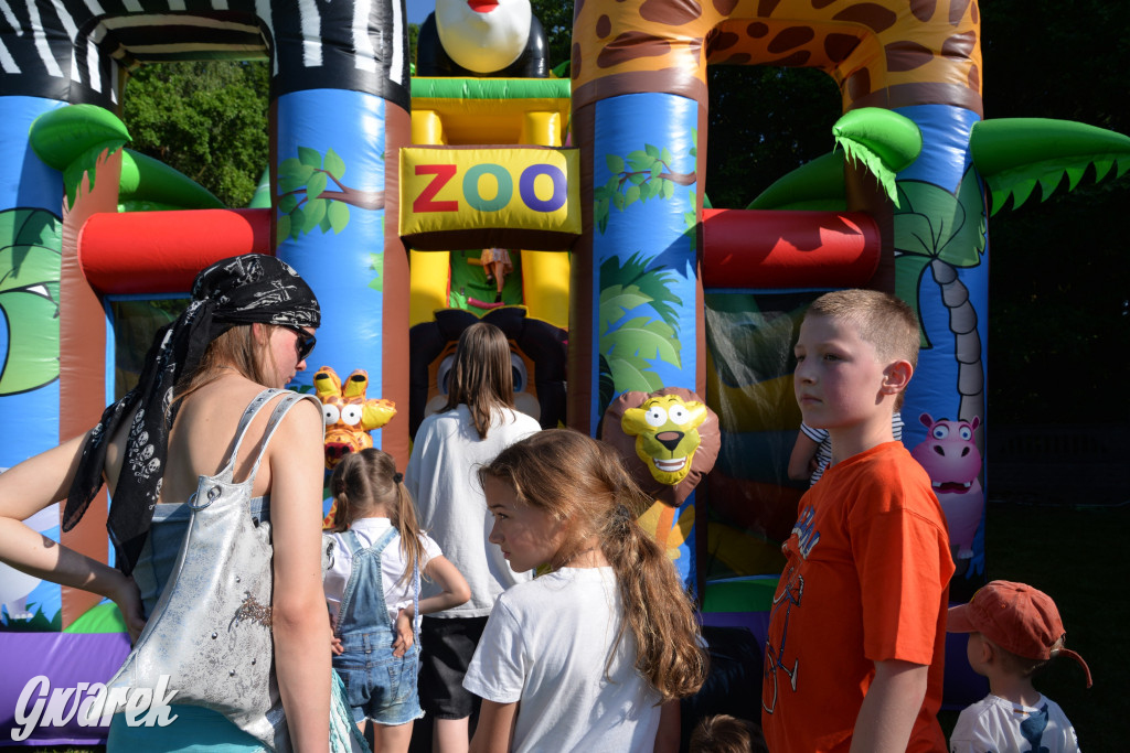 Setka Zgody Repty Śląskie