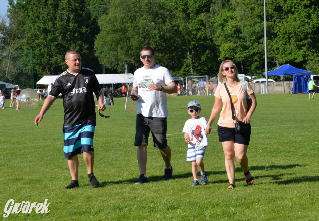 Setka Zgody Repty Śląskie