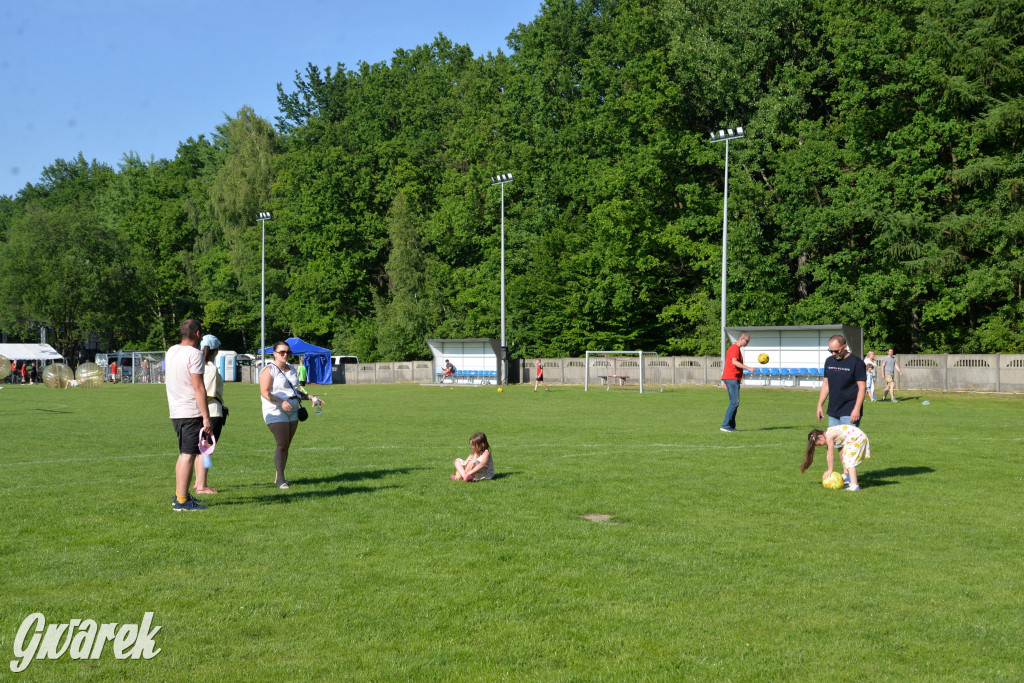 Setka Zgody Repty Śląskie