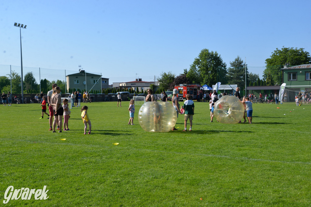 Setka Zgody Repty Śląskie
