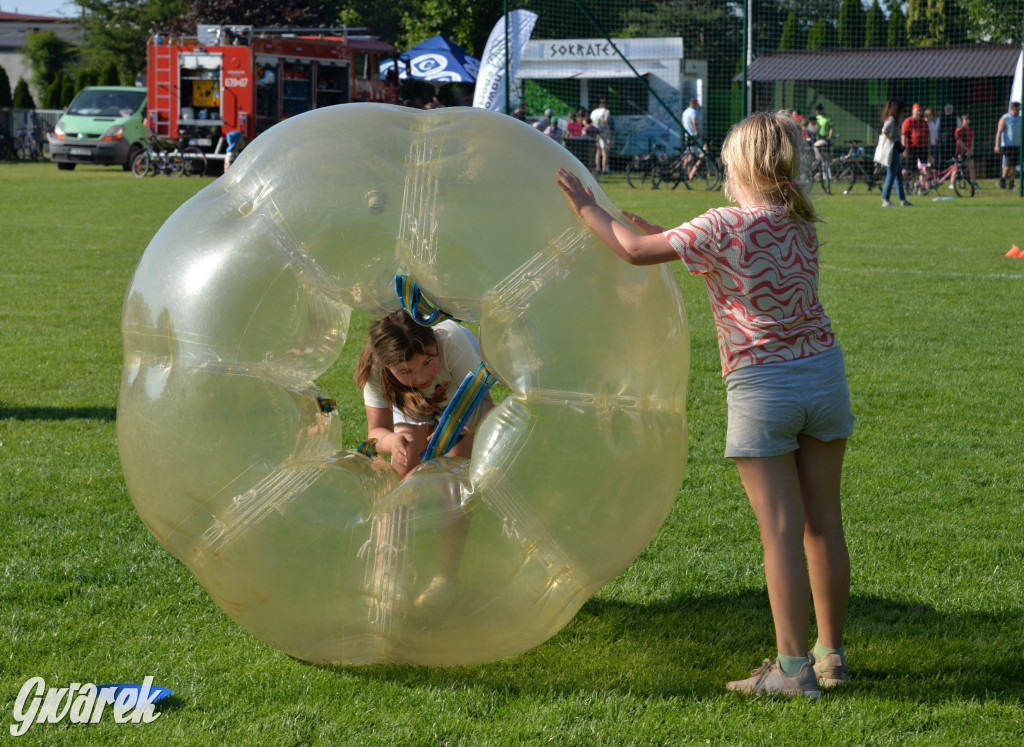 Setka Zgody Repty Śląskie