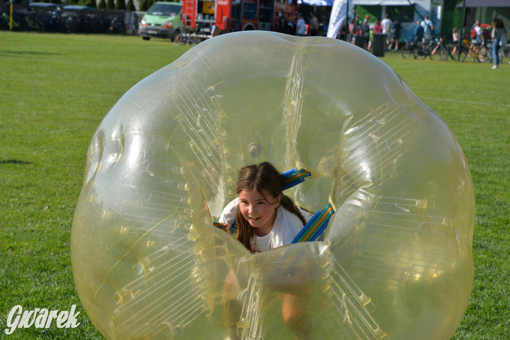 Setka Zgody Repty Śląskie
