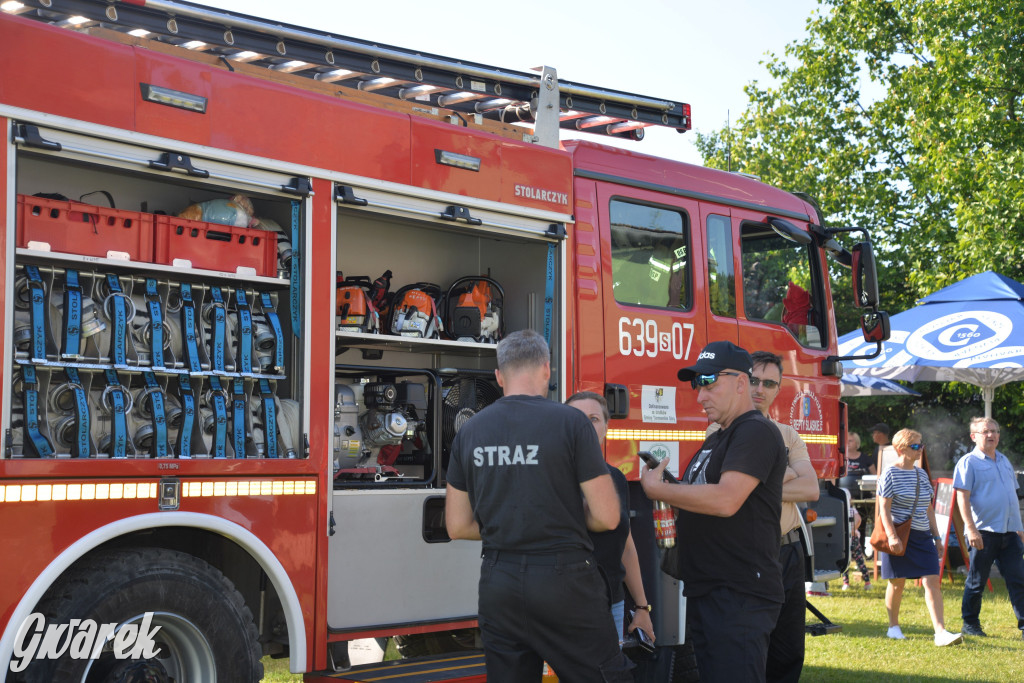 Setka Zgody Repty Śląskie