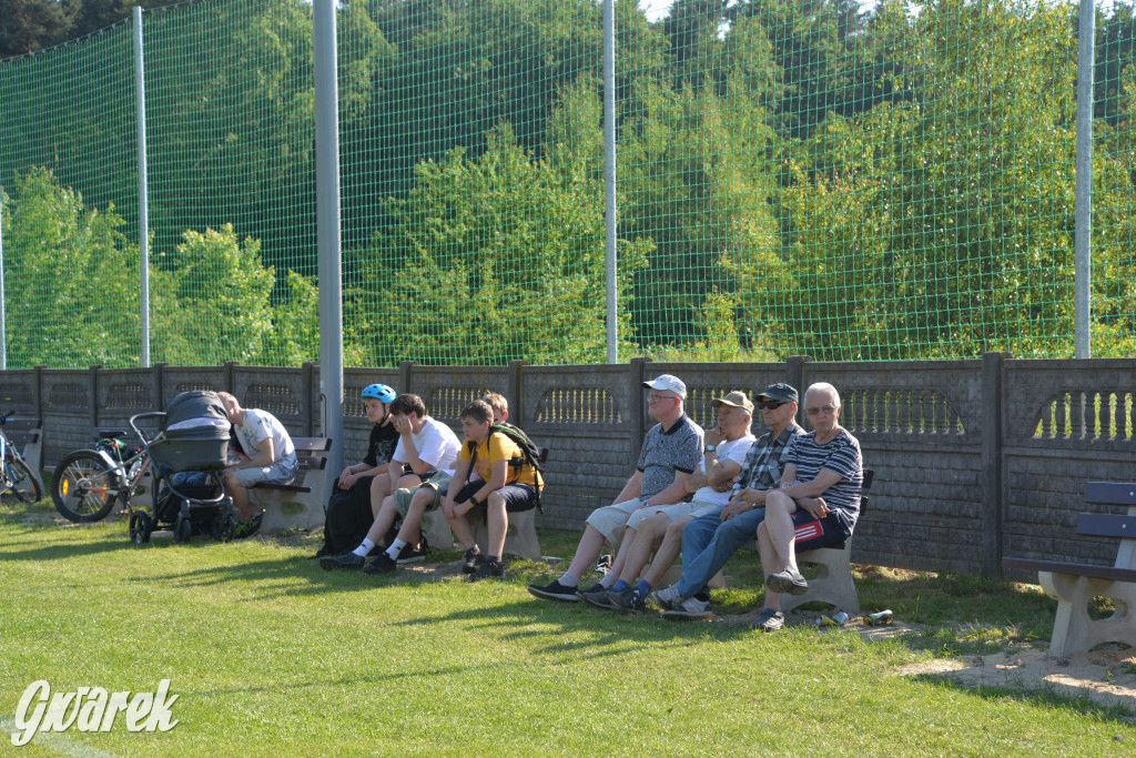 Setka Zgody Repty Śląskie