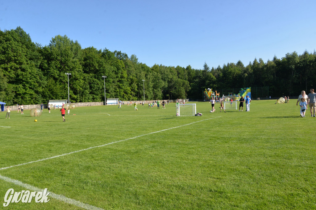 Setka Zgody Repty Śląskie